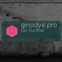 qinodye.pro